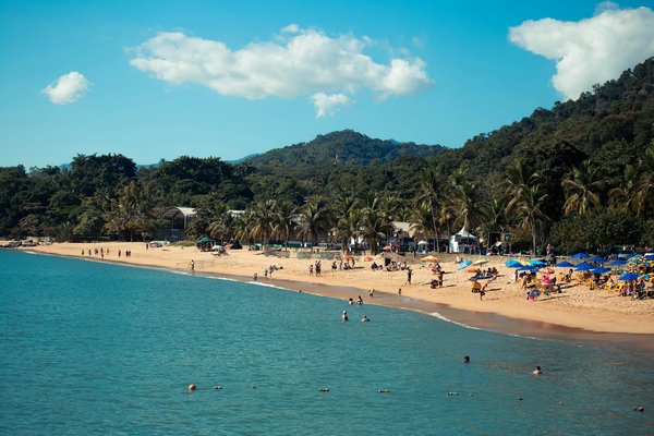 Wie kÃ¶nnen Reisende zur Erhaltung der BiodiversitÃ¤t beitragen?